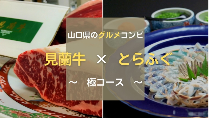 ◆見蘭牛のステーキ×とらふぐコース◆《卓上麦酒サーバー》〜ふぐちり鍋・ふぐ刺し付き〜【貸切風呂無料】